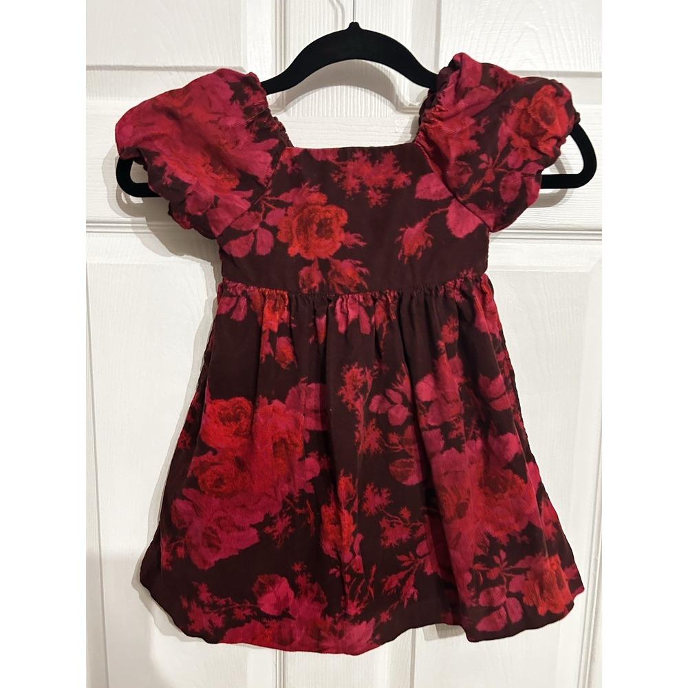 Baby Gap 4 Corduroy dress puff sleeve‎ floral Print red delicious Pink